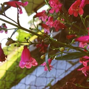 Meet your Posher, Kaitlyn